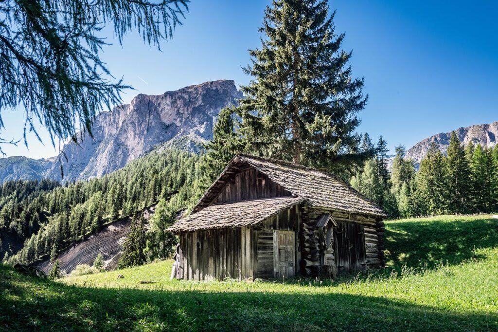 Wanderweg zwischen Lärchen zu einer Almhütte in Alta Badia